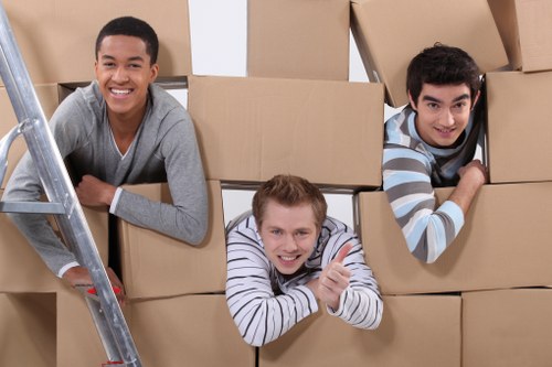 Packing process being organized for a move in Paddington